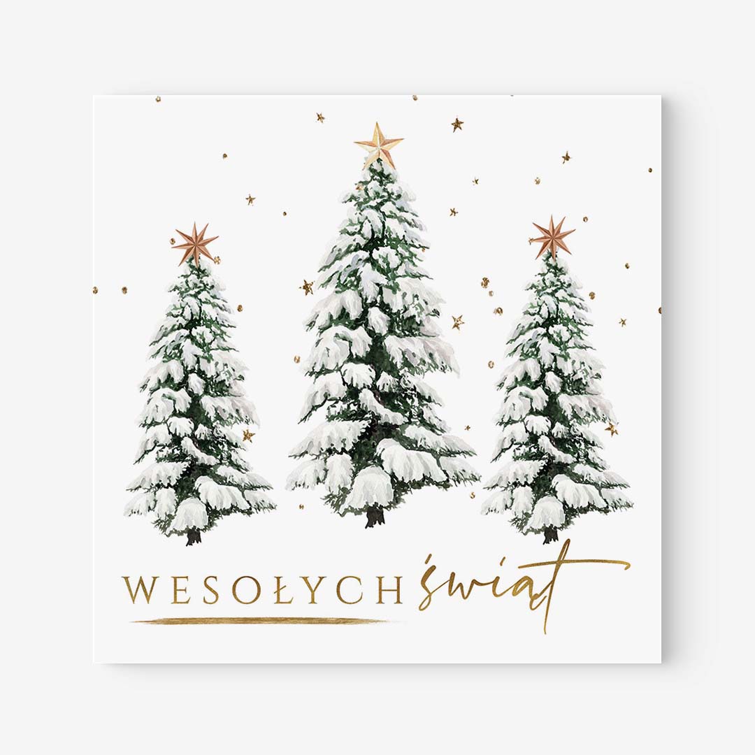 Biznesowe Kartki Świąteczne z logo - Vanevo